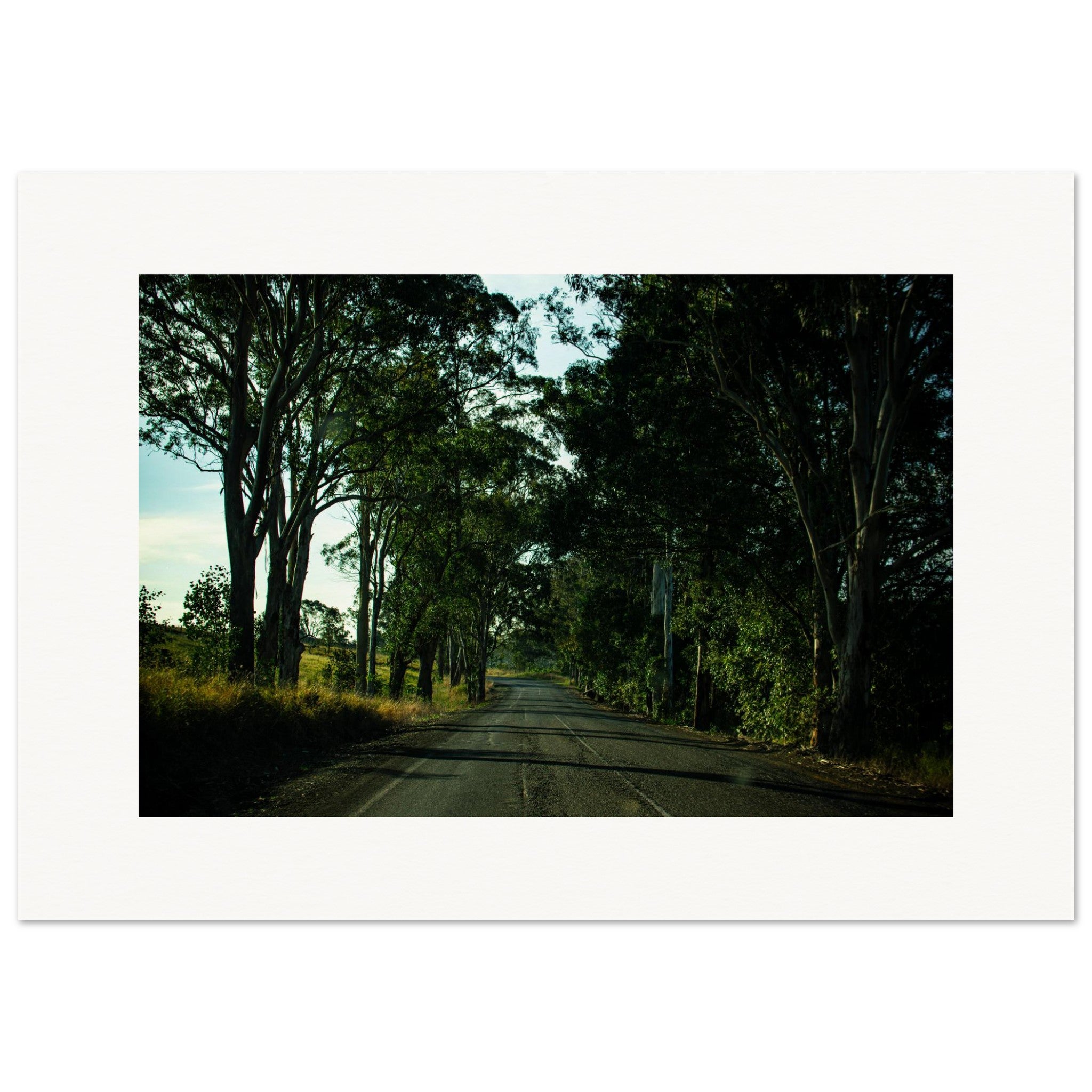 368e85e3-d2f9-4be4-bf2d-c8de8c851fbf