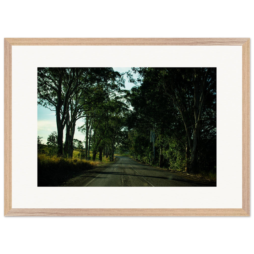 5a51a7ff-dfba-45c9-be11-461acfb260e6