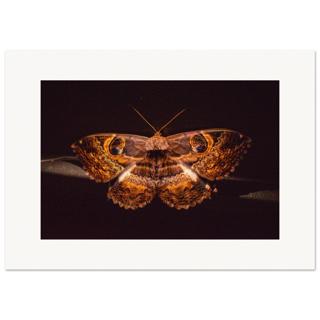 5ef5ac13-cea7-4c32-a0bc-5c2ddd3830e4