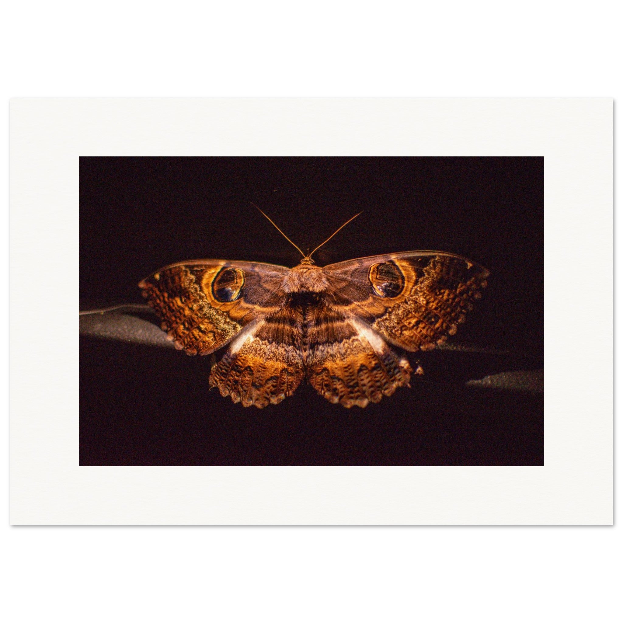 5ef5ac13-cea7-4c32-a0bc-5c2ddd3830e4