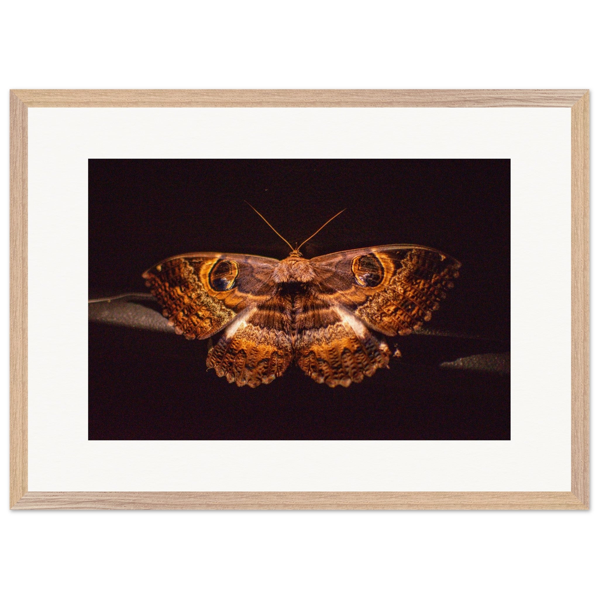 68c63323-4818-4849-a3f2-86f6fdcdae2c