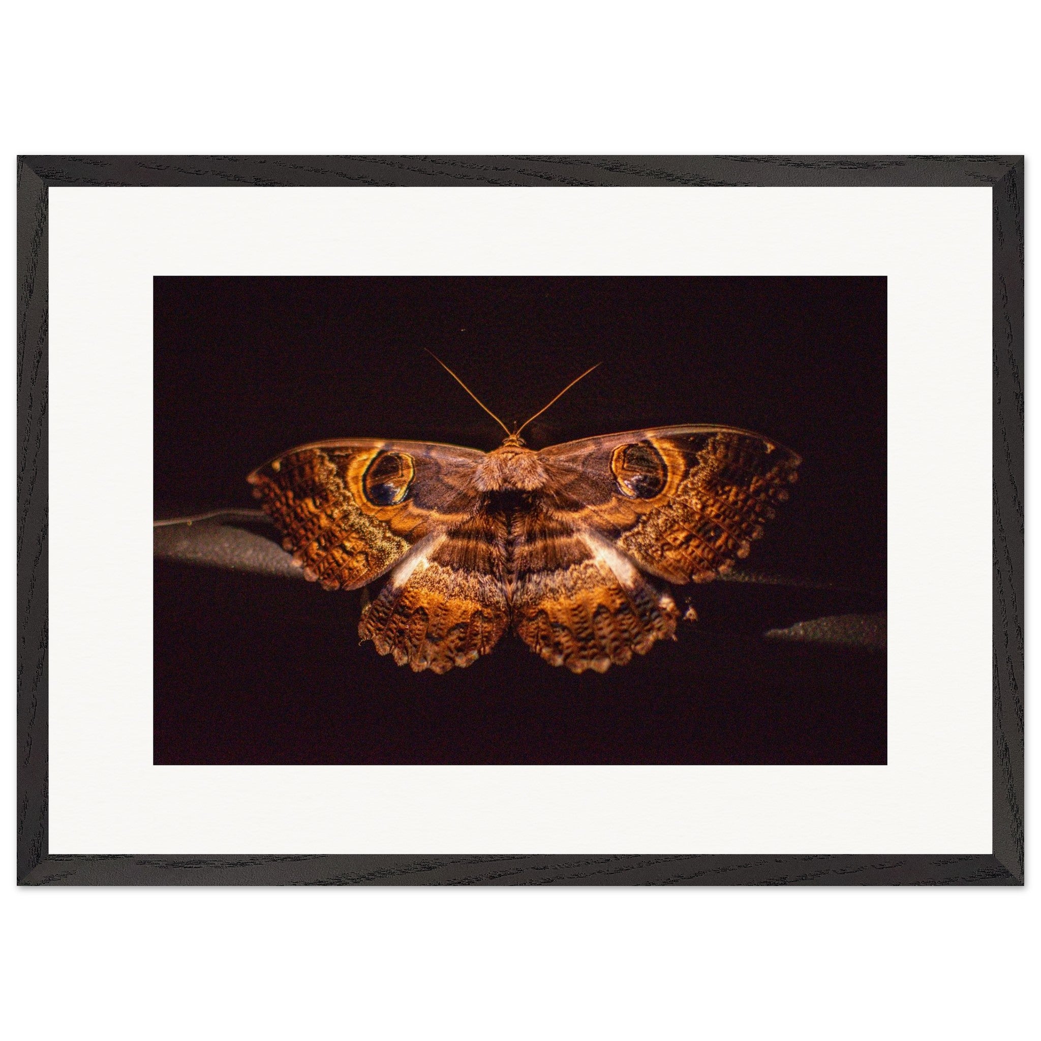 6de6ef96-38b8-4eab-a276-572a8feca75b