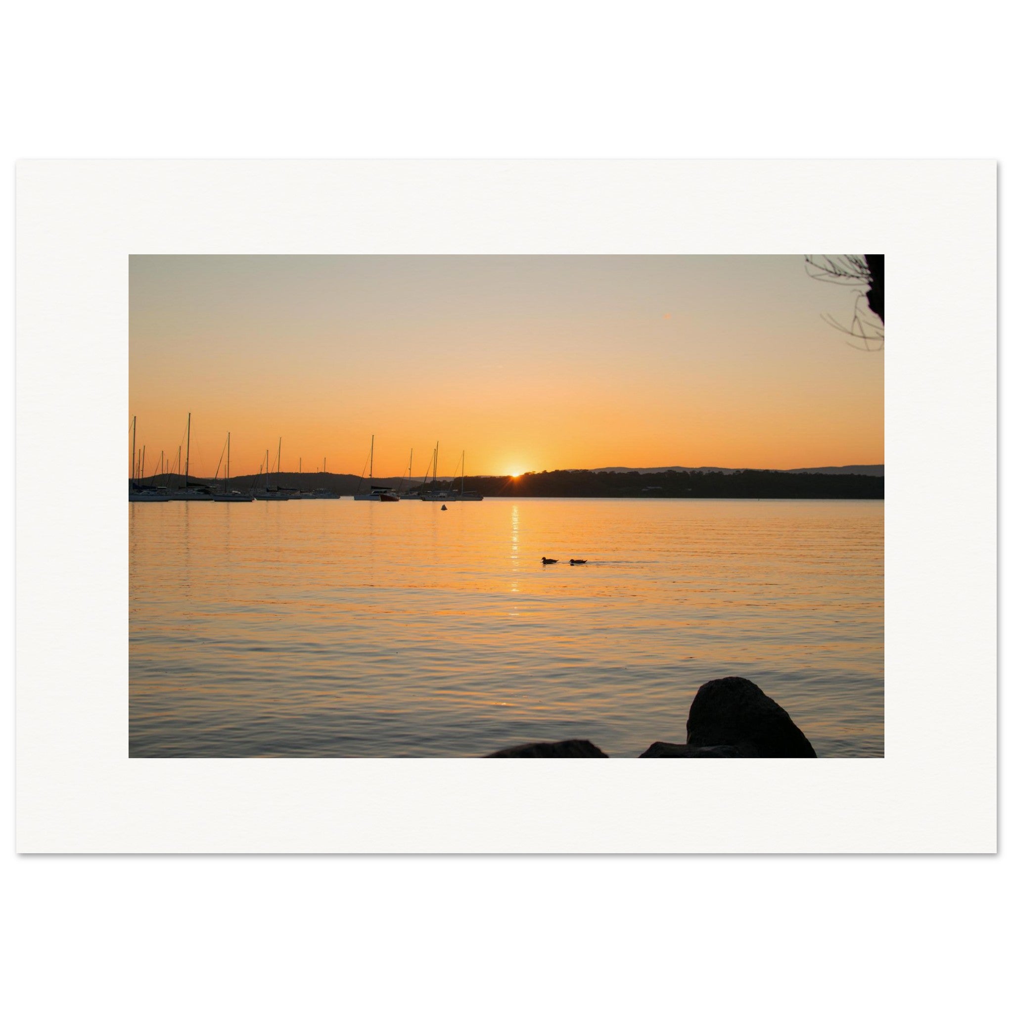 7f2c0d54-e6cf-42e2-9dd7-a9dc0b819b31