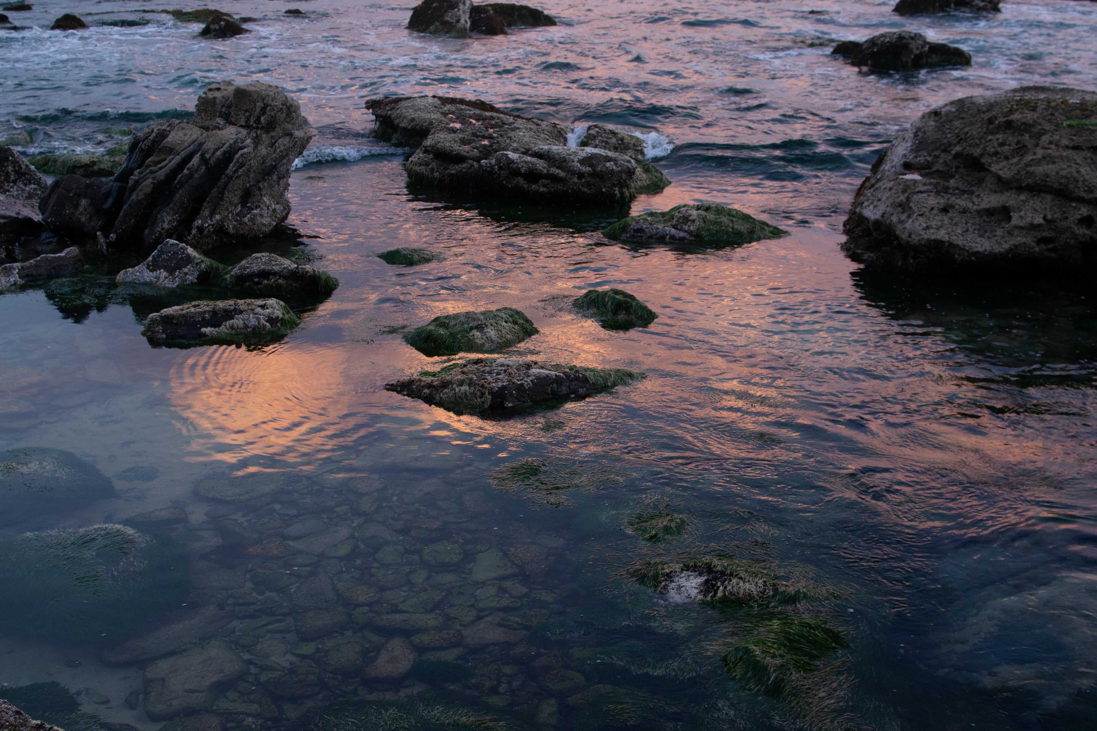 Coastal Rock Pool Art Print