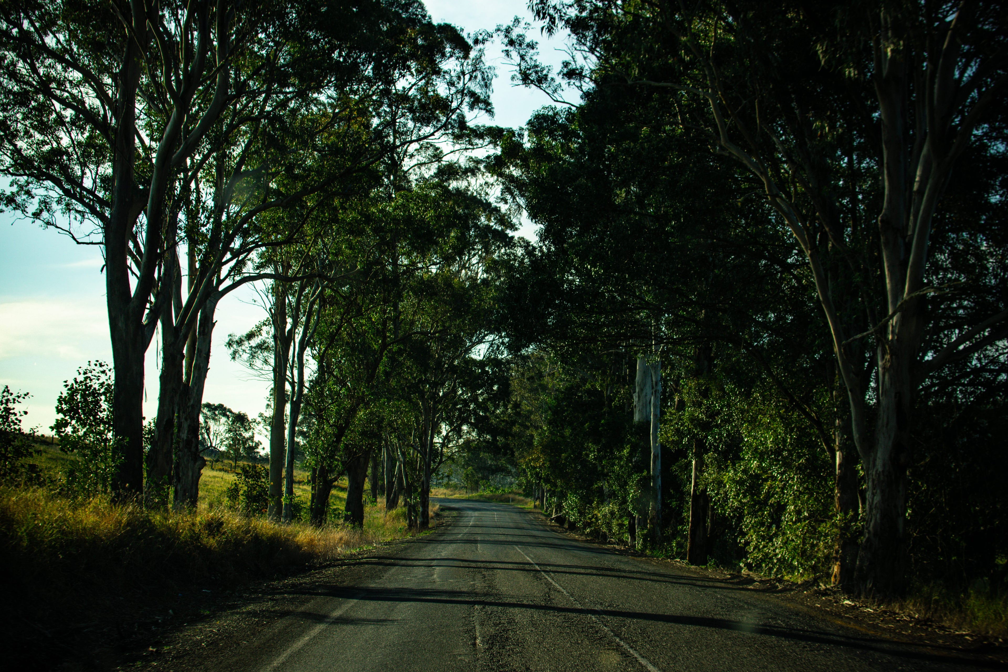 Country Road Art Print