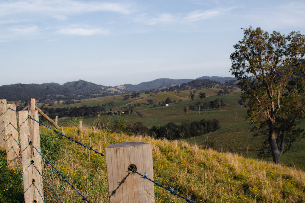 طباعة فنية لإطلالة الوادي