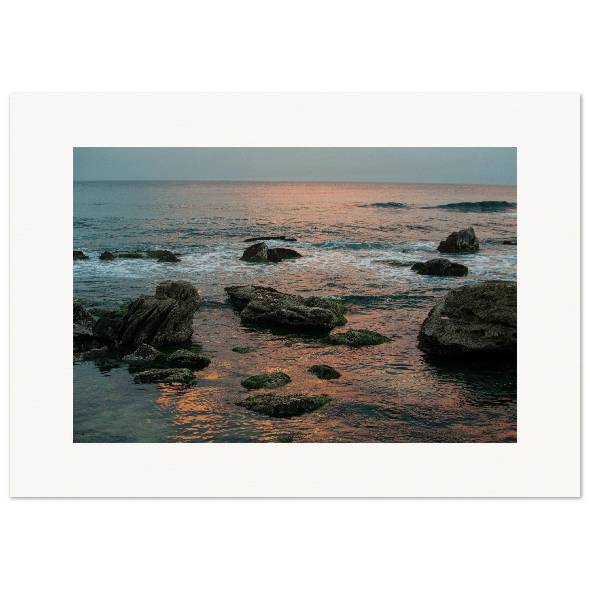 aa8f1dd0-6da6-4900-9356-2ba109142951