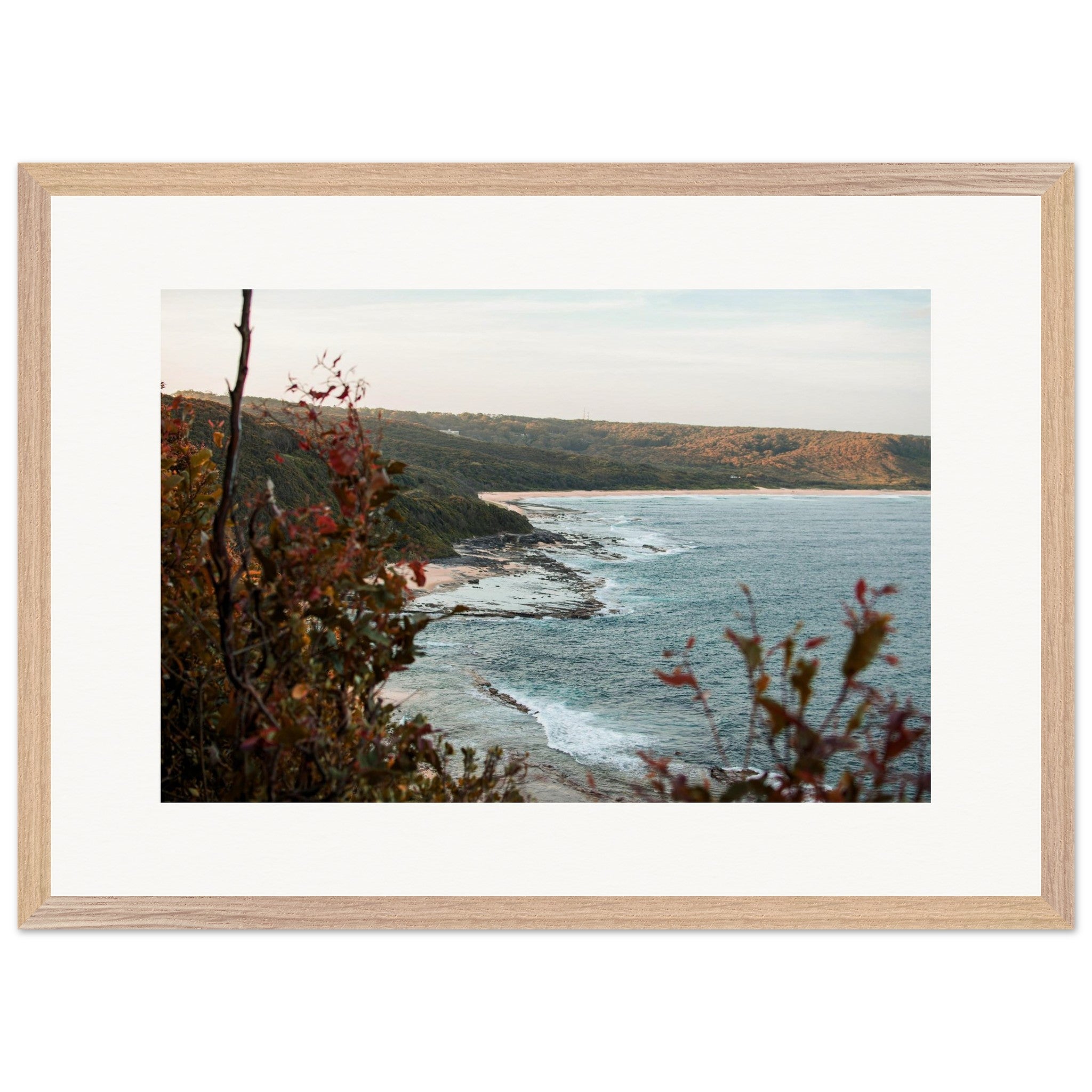 c5c83282-7086-450d-9ce6-fc4630510104