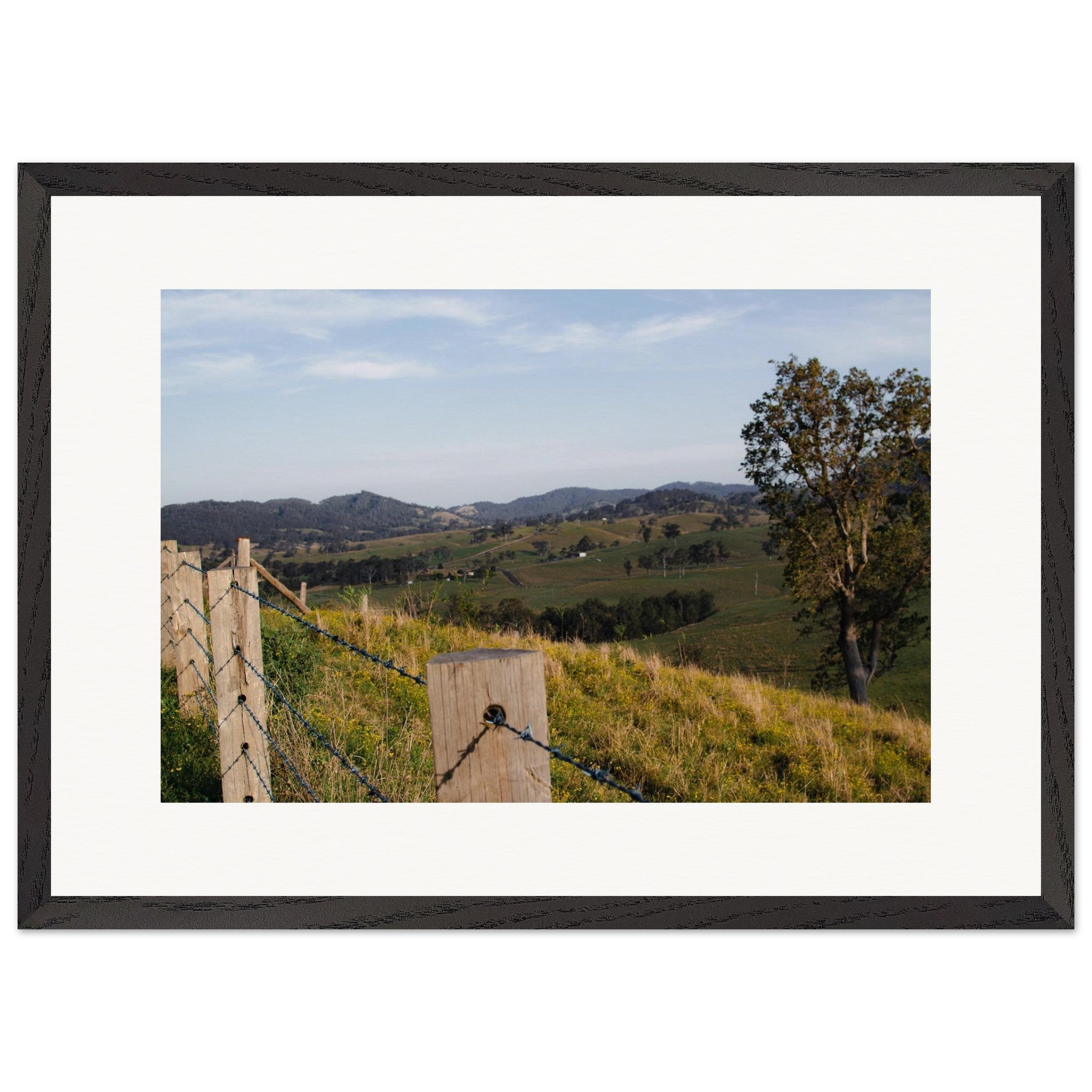 cc828f71-67f7-46ff-9869-f549686594cb