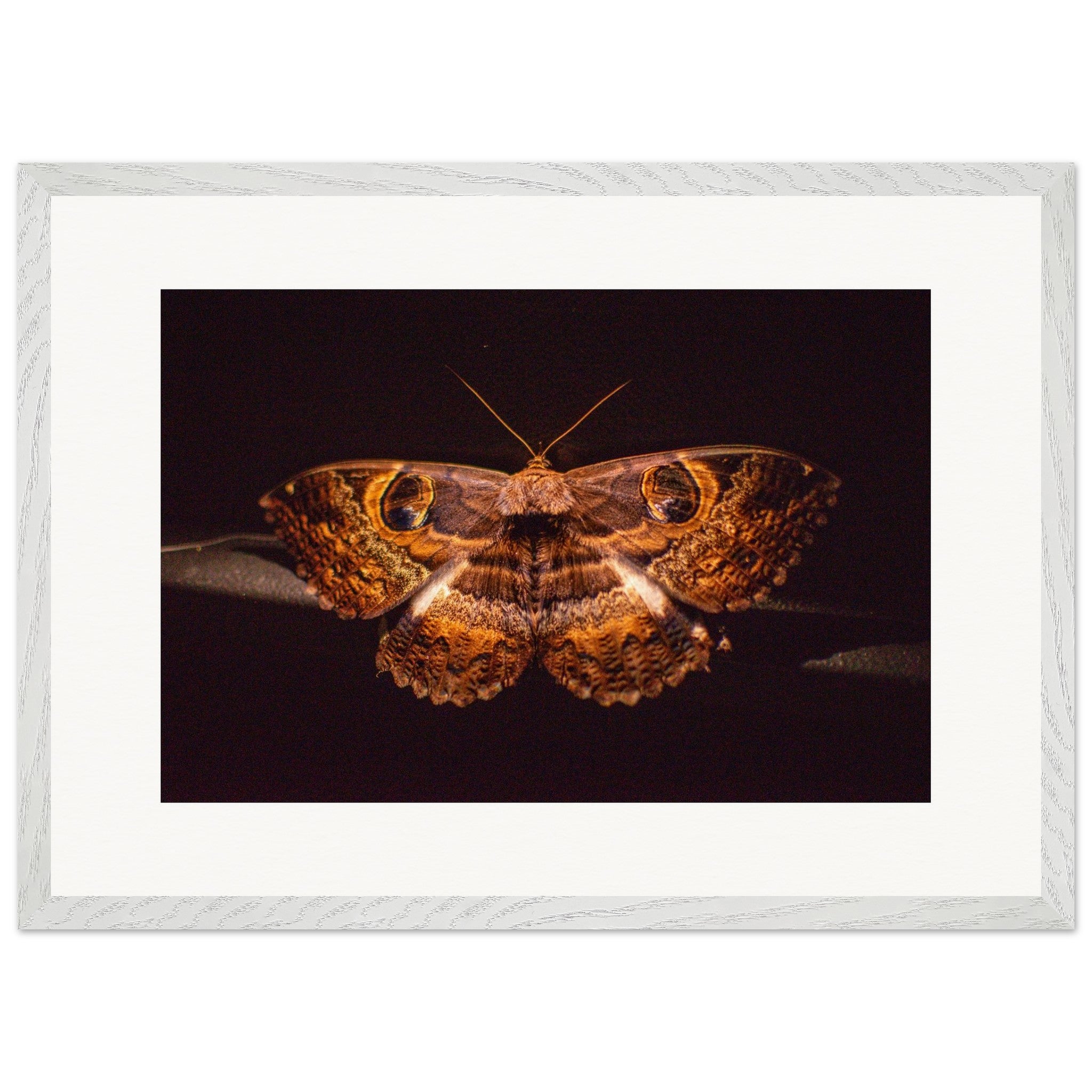 cf45a4c4-679d-4bed-81c0-5d33b5244a08