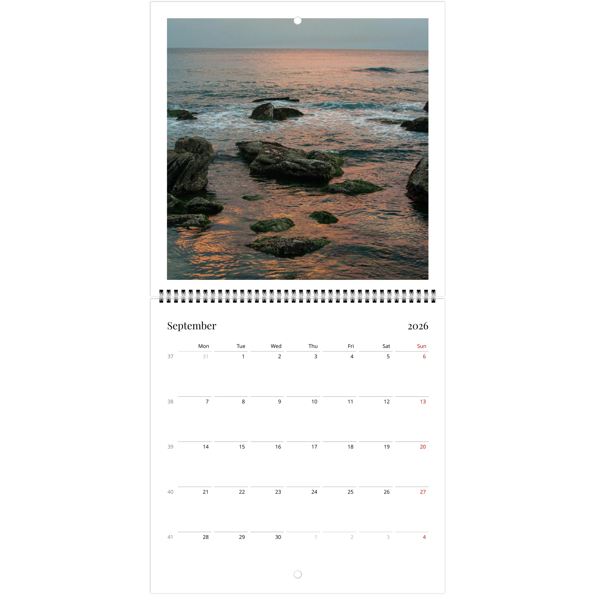 ea6b860e-1b67-43f9-a769-7c487760b109