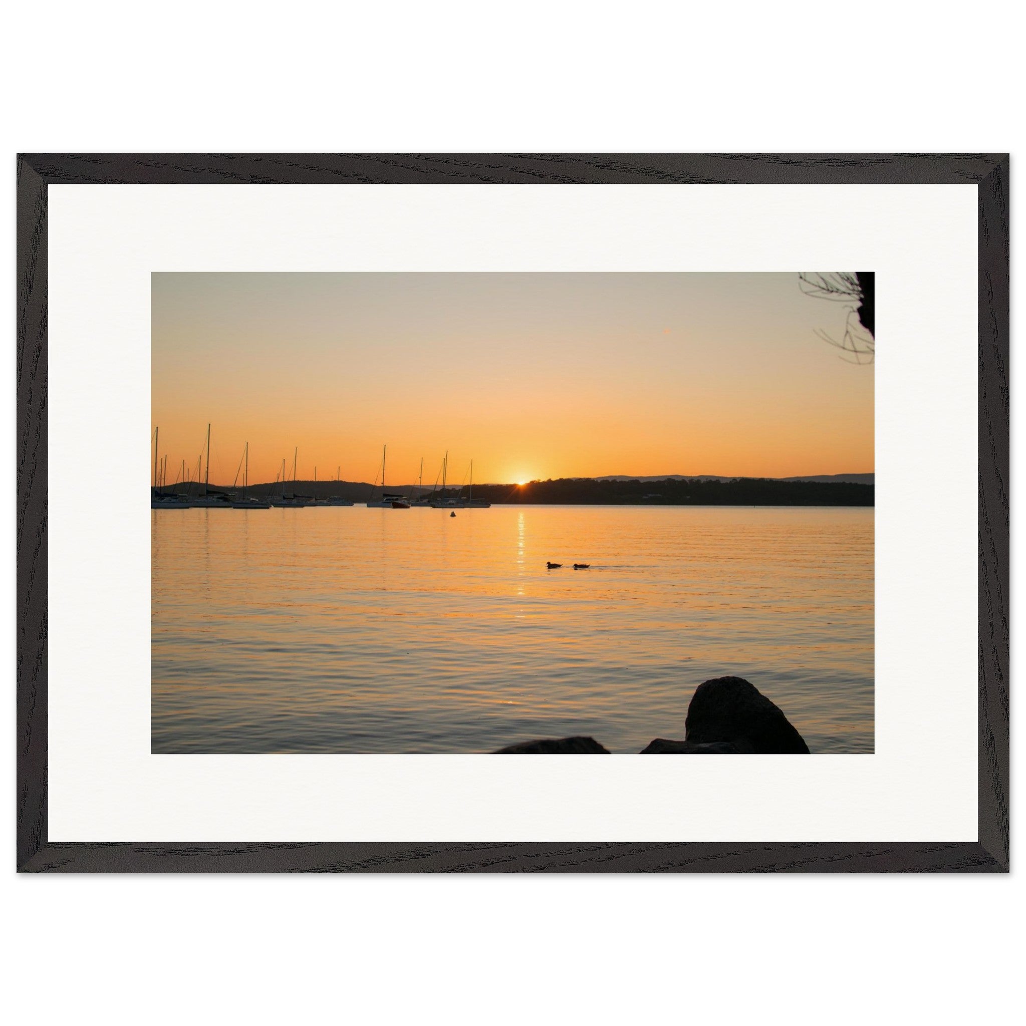 ec8e7c88-8101-4d47-99ab-168b0435a372