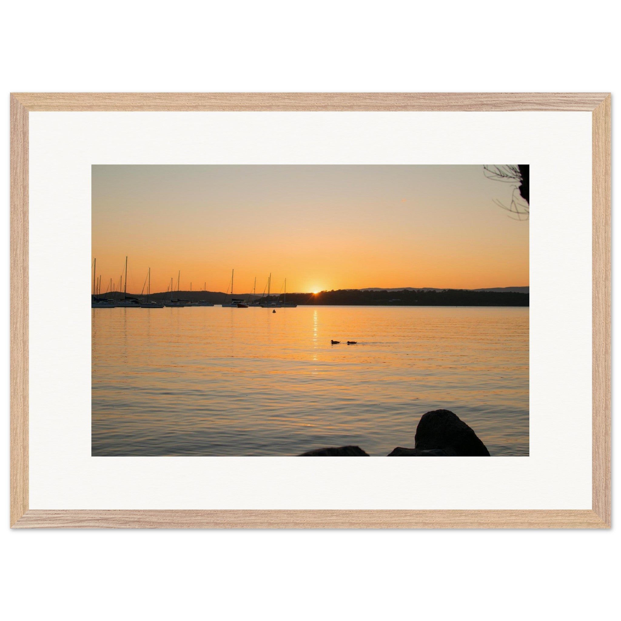 eeb41860-4d0e-4563-a286-f35ea4895288