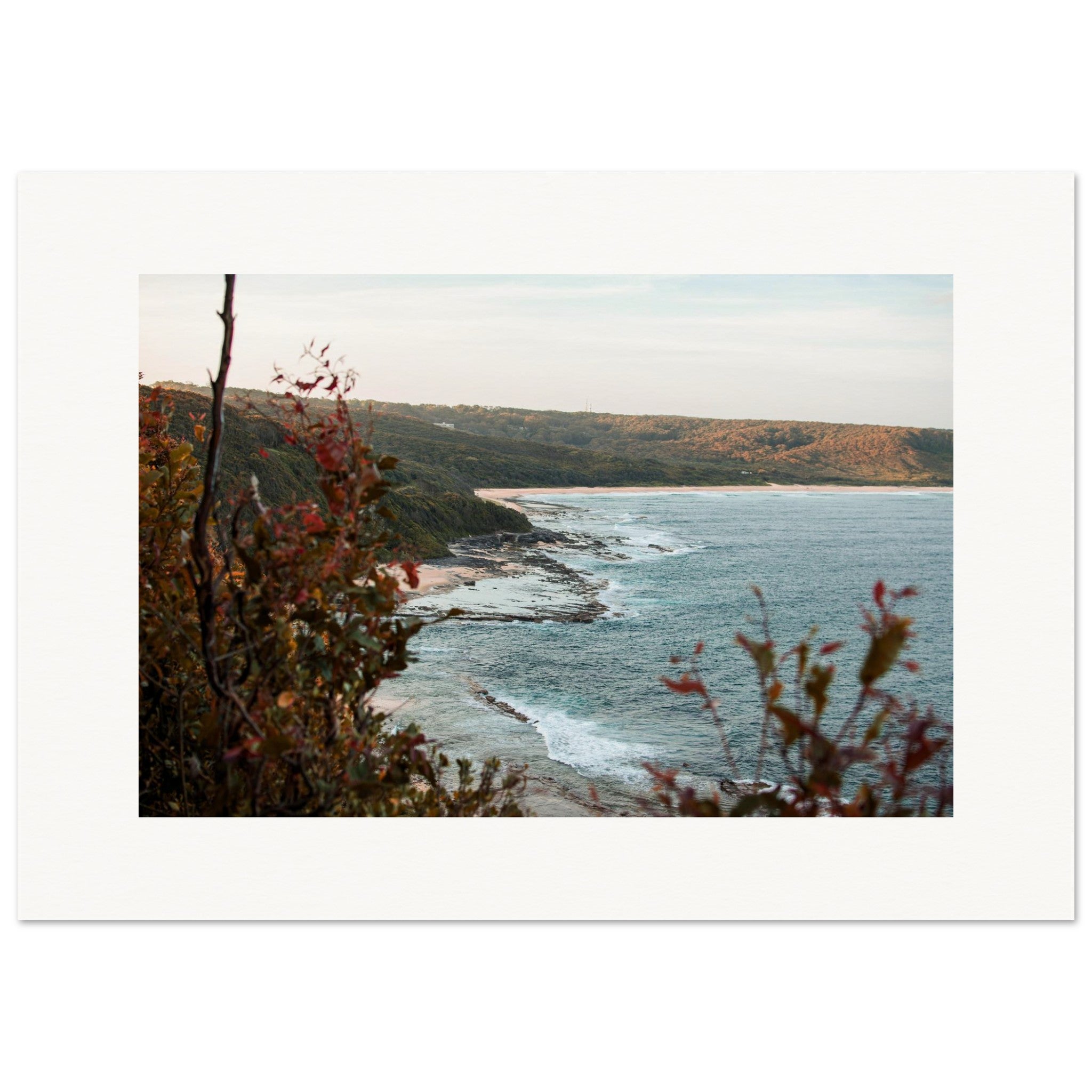 f0d5a6ed-1053-44d0-820a-155c4b70d6b6